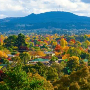 蓝天白云绿树，澳洲最美的乡村景色在哪？