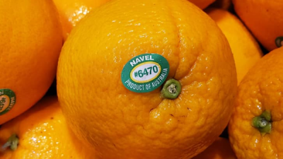 澳洲还有哪些水果？健康生活的选择，进口澳橙